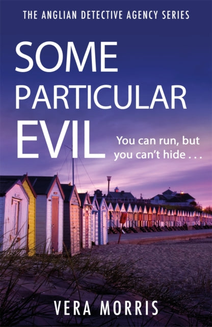 Some Particular Evil: The Anglian Detective Agency Series