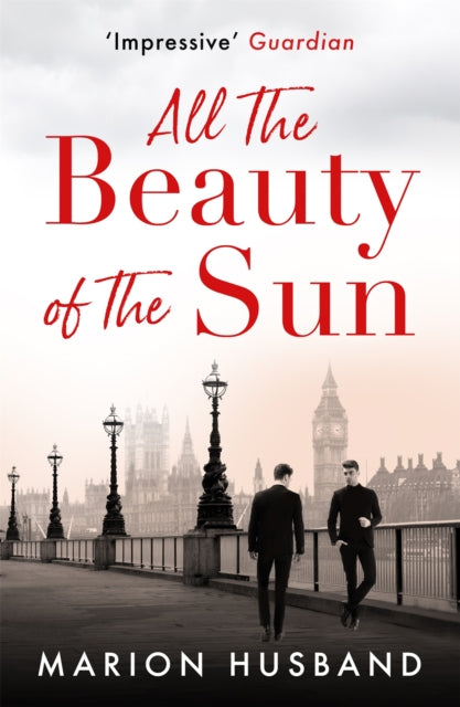 All the Beauty of the Sun: The Boy I Love: Book Two