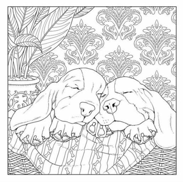 All about the Dog A Dog Lovers Coloring Book