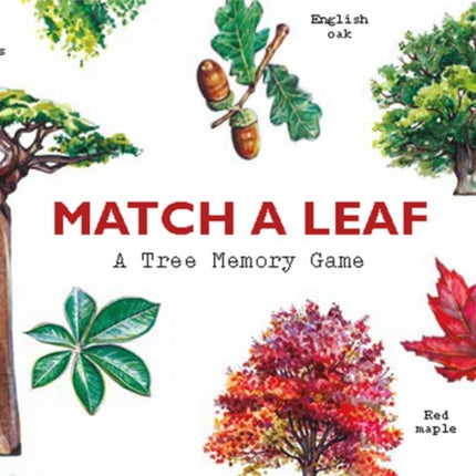 Match a Leaf: A Tree Memory Game