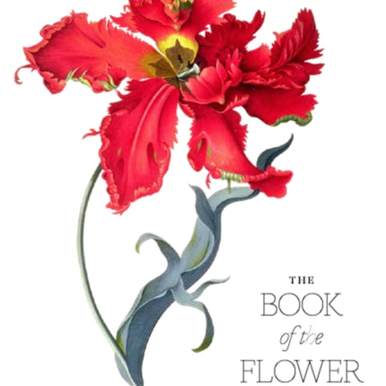 The Book of the Flower: Flowers in Art