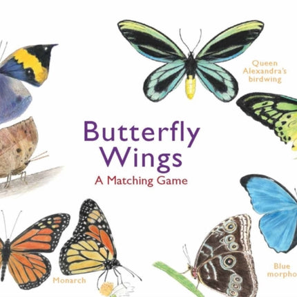 Butterfly Wings: A Matching Game