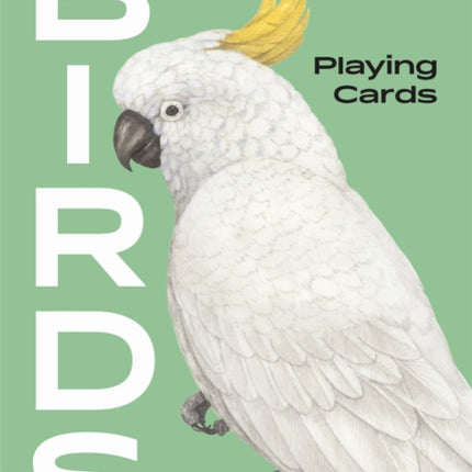 Birds: Playing Cards