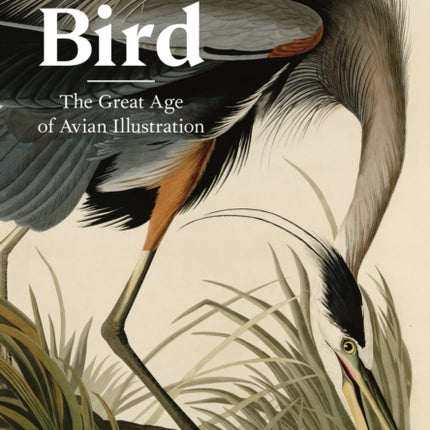 The Bird: The Great Age of Avian Illustration