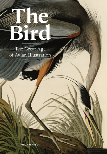 The Bird: The Great Age of Avian Illustration