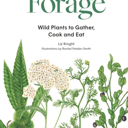 Forage: Wild plants to gather and eat