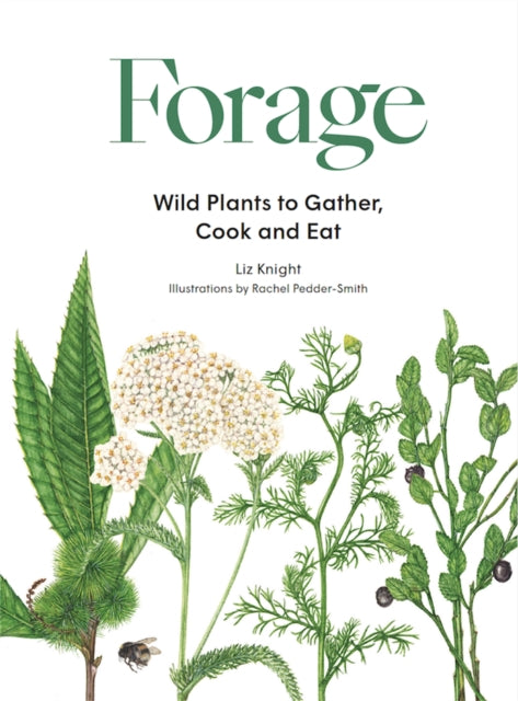 Forage: Wild plants to gather and eat