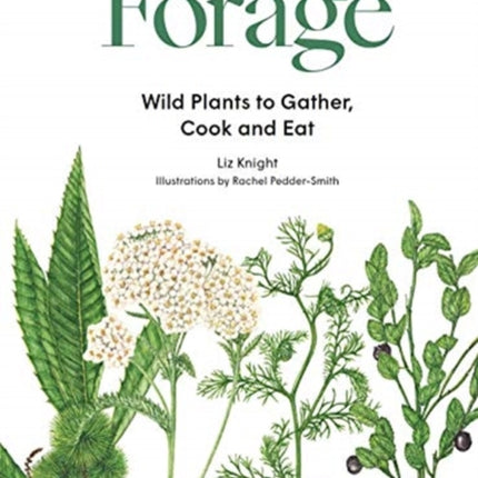 Forage: Wild Plants to Gather and Eat