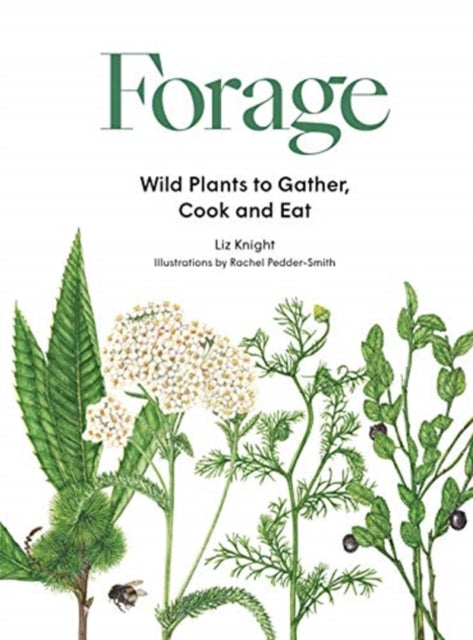 Forage: Wild Plants to Gather and Eat