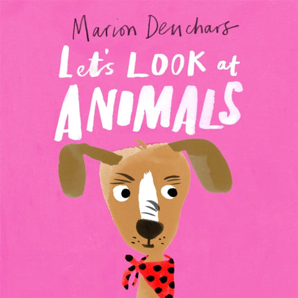 Let's Look at... Animals: Board Book