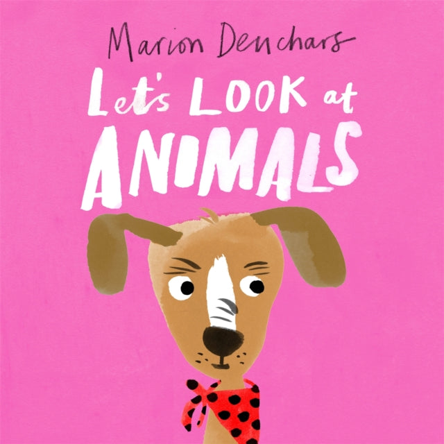 Let's Look at... Animals: Board Book