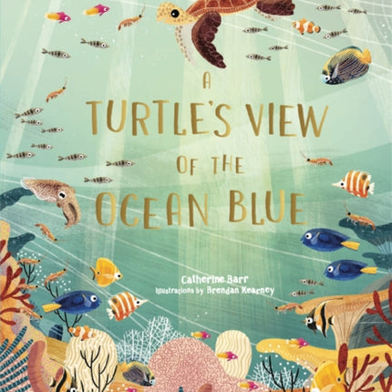 A Turtle's View of the Ocean Blue