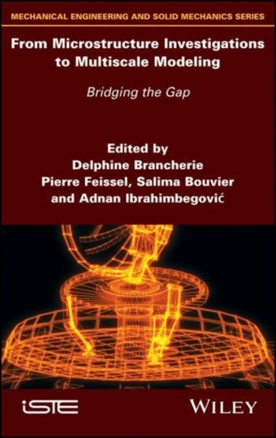 From Microstructure Investigations to Multiscale Modeling: Bridging the Gap