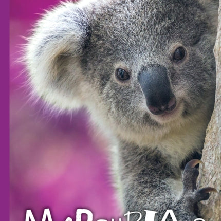 Marsupials