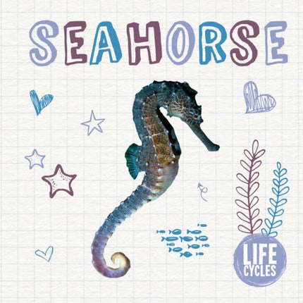 Seahorse