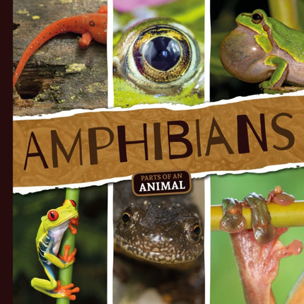 Amphibians