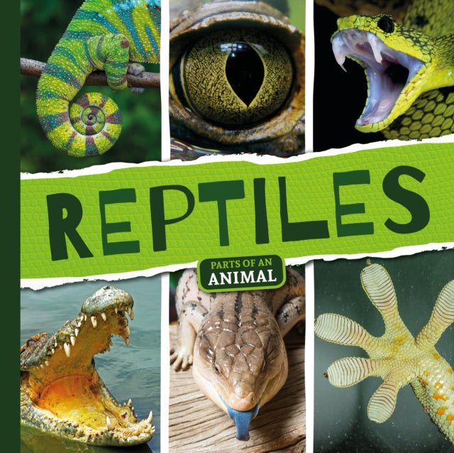 Reptiles