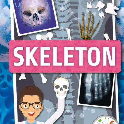 Skeleton