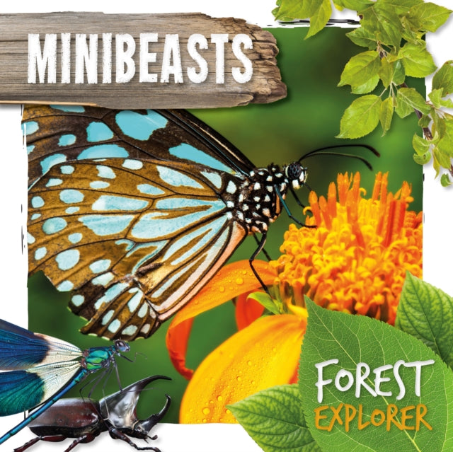 Minibeasts