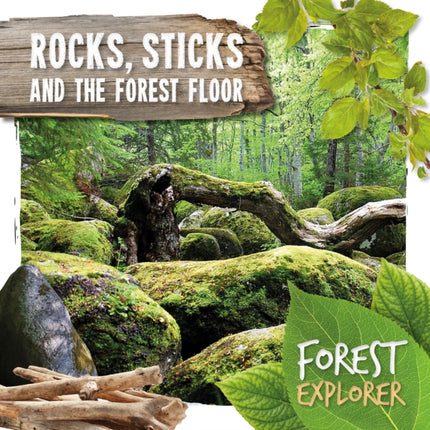 Rocks, Sticks & the Forest Floor