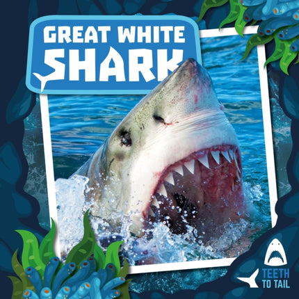 Great White Shark