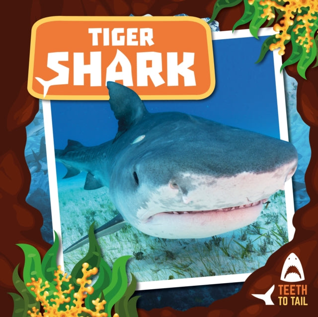 Tiger Shark: Teeth to Tail