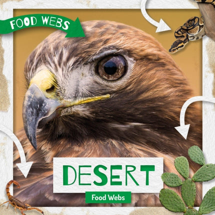 Desert Food Webs