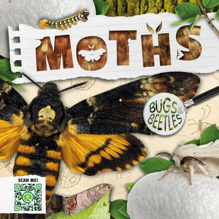 Moths