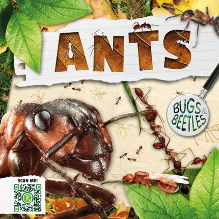 Ants