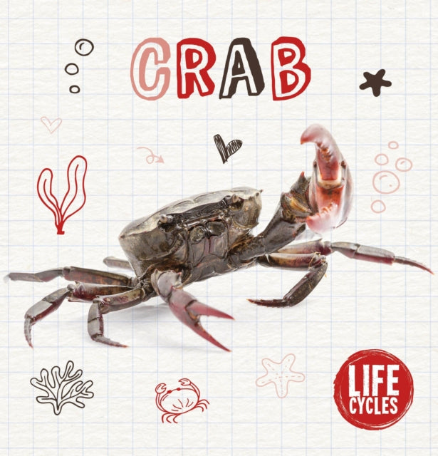 Crab Life Cycles