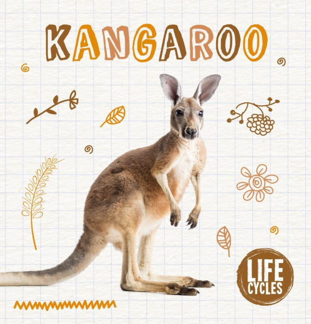 Kangaroo Life Cycles