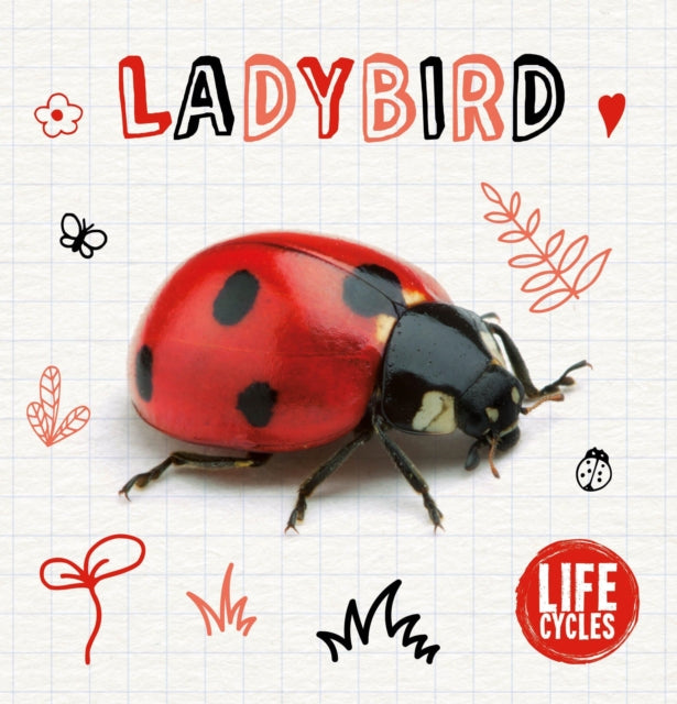 Ladybird Life Cycles