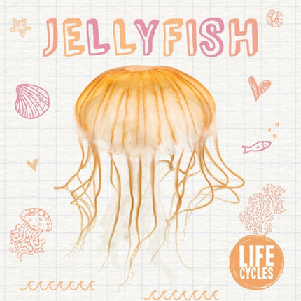 Jellyfish