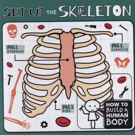 Set Up the Skeleton