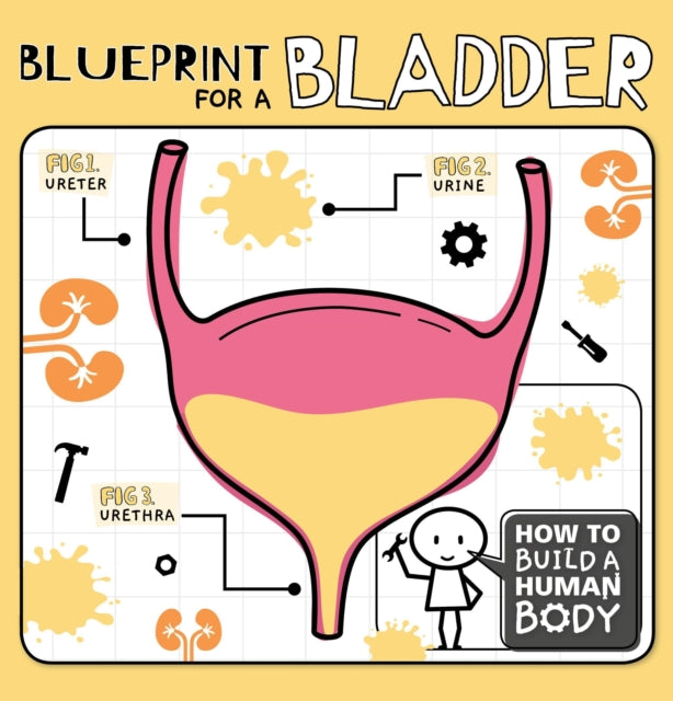 Blueprint for a Bladder