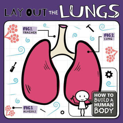 Lay Out the Lungs