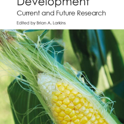 Maize Kernel Development