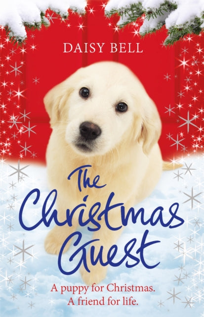 The Christmas Guest: A heartwarming tale to curl up with by the fire