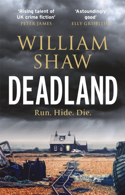 Deadland: the ingeniously unguessable thriller