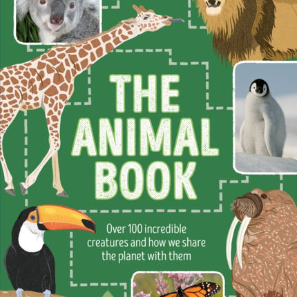 Lonely Planet Kids The Animal Book