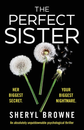 The Perfect Sister: An absolutely unputdownable