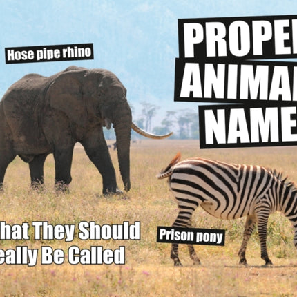 Proper Animal Names: What They Should Really Be Called