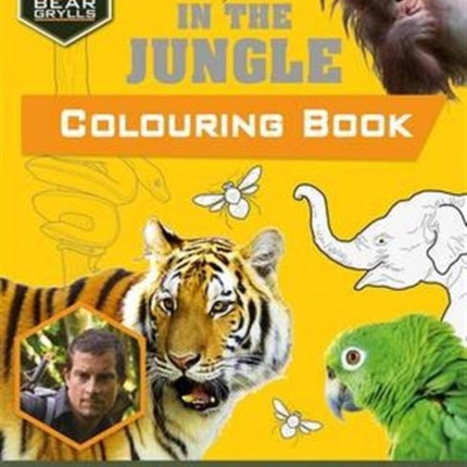 Bear Grylls Colouring Books: In the Jungle