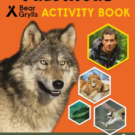 Bear Grylls Sticker Activity: Predators