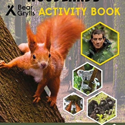 Bear Grylls Sticker Activity: Woodlands