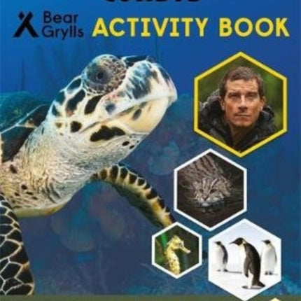 Bear Grylls Sticker Activity: Coasts