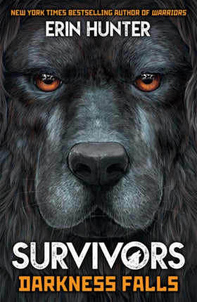 Survivors Book 3: Darkness Falls