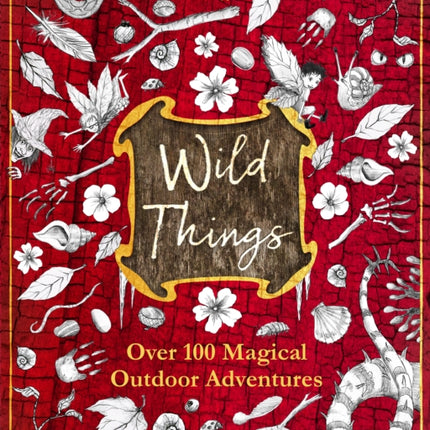 Lonely Planet Kids Wild Things