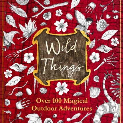 Lonely Planet Kids Wild Things 1