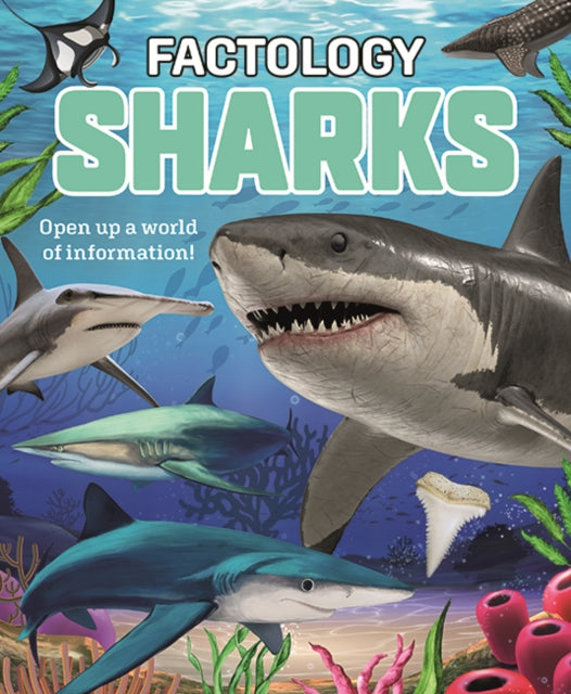 Factology Sharks